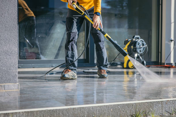 Best Animal Enclosure Cleaning  in Roman Forest, TX